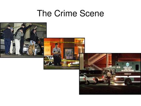 The Crime Scene.