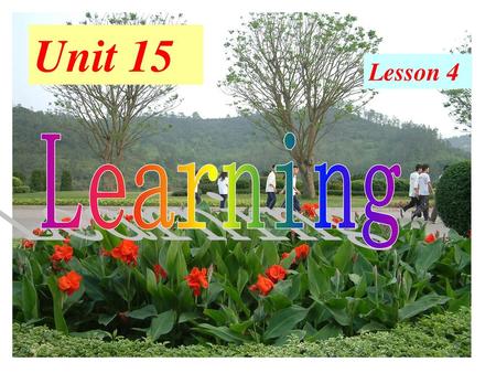 Unit 15 Lesson 4 Learning.