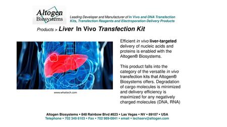 Products > Liver In Vivo Transfection Kit