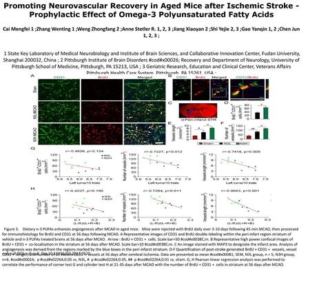 Promoting Neurovascular Recovery in Aged Mice after Ischemic Stroke - Prophylactic Effect of Omega-3 Polyunsaturated Fatty Acids Cai Mengfei 1 ;Zhang Wenting.