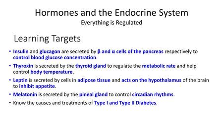 Hormones and the Endocrine System