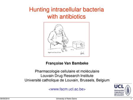 Hunting intracellular bacteria with antibiotics