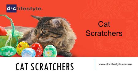 CAT SCRATCHERS  Cat Scratchers.