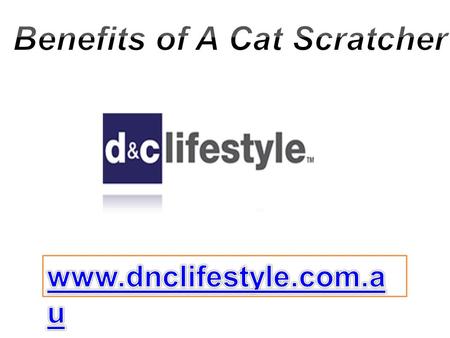 Benefits of A Cat Scratcher - dnclifestyle.com.au