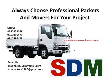 Always Choose Professional Packers And Movers For Your Project
