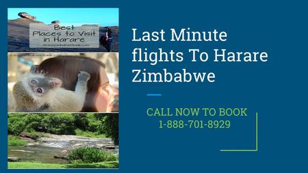 Last Minute flights To Harare Zimbabwe CALL NOW TO BOOK