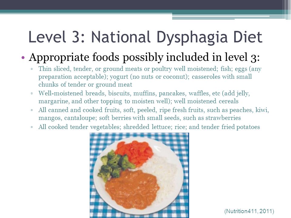 Dysphagia Diet Guidelines
