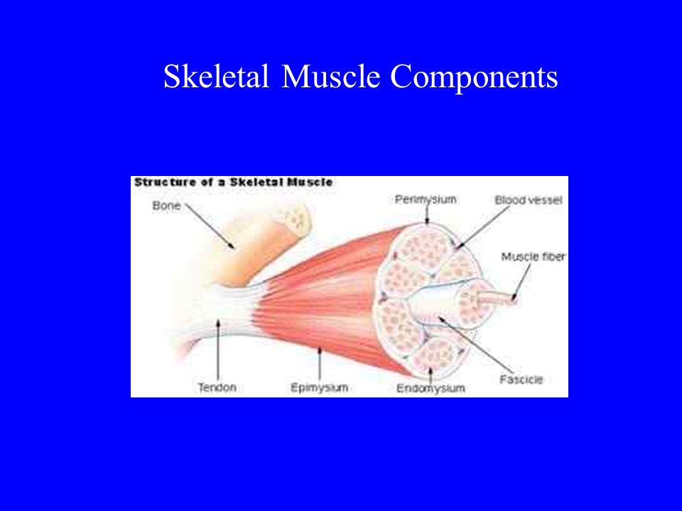 download daten und funktionsmodellierung