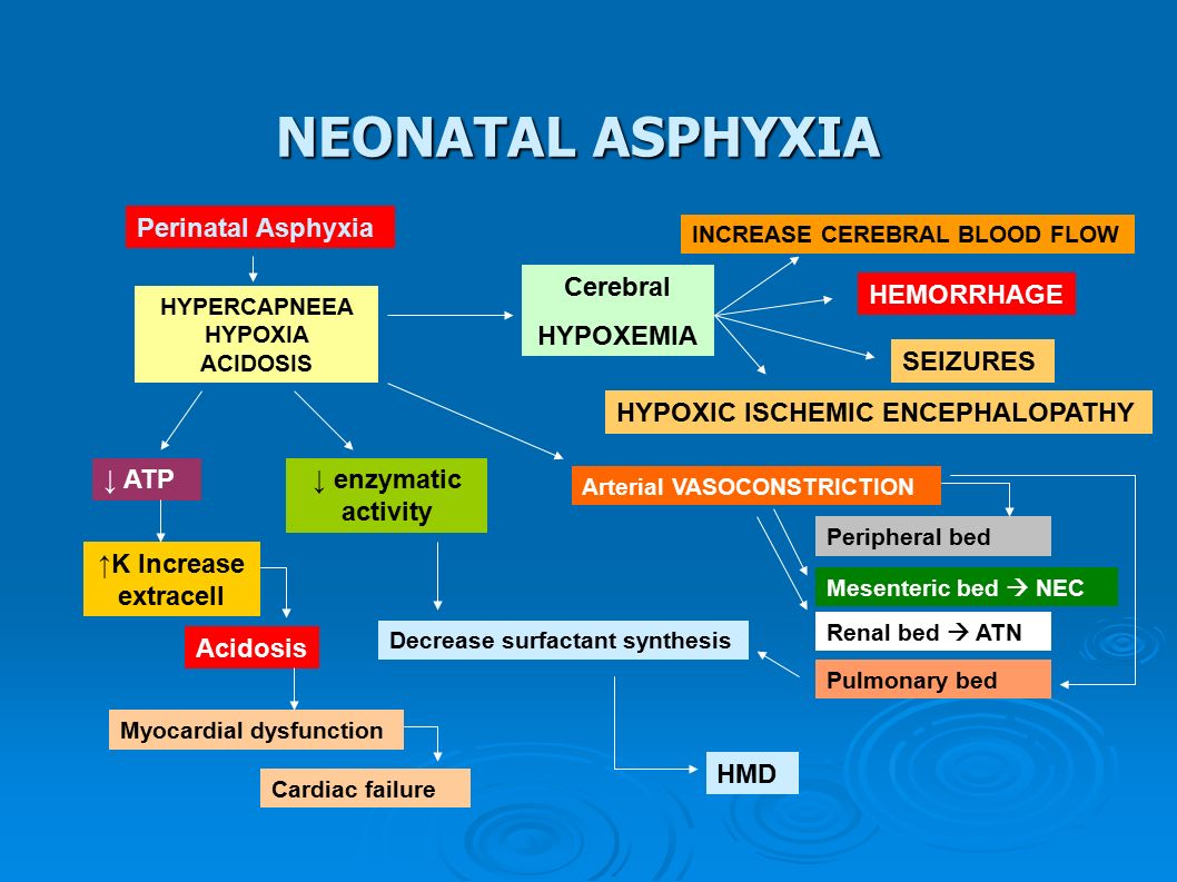 lactic acidosis,lacticacidosis hypoxemiahemorrhagehypercapneeahypoxiaacidosisseizureshypoxic