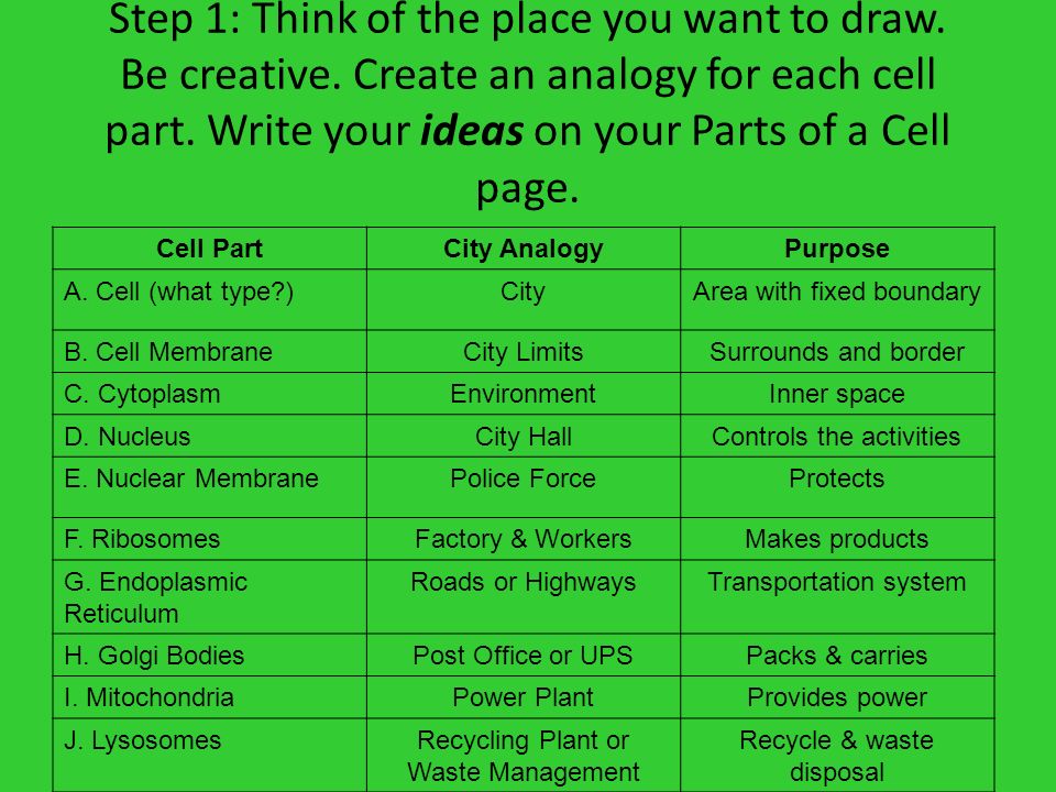 free worksheets library download and print worksheets free on cell membrane analogy