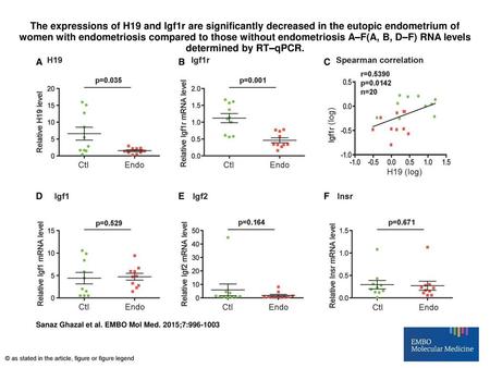 The expressions of H19 and Igf1r are significantly decreased in the eutopic endometrium of women with endometriosis compared to those without endometriosis.