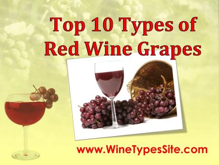 Top 10 Types of Red Wine Grapes