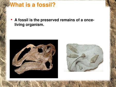 What is a fossil? A fossil is the preserved remains of a once- living organism.