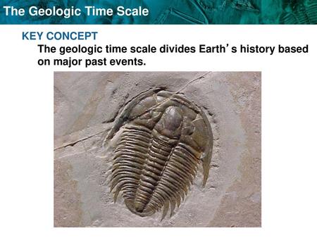 Index fossils are another tool to determine the relative age of rock layers.