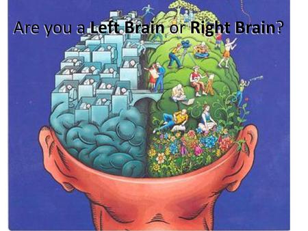 Are you a Left Brain or Right Brain?