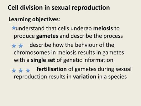 Cell division in sexual reproduction