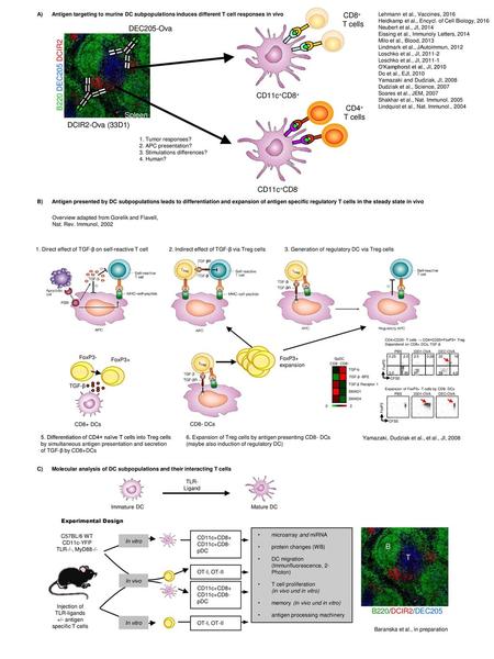 +/- antigen specific T cells