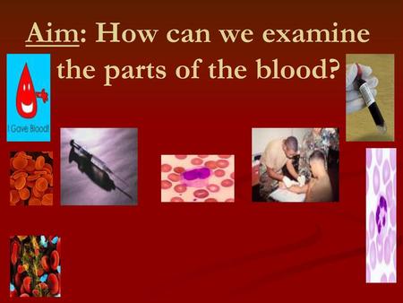 Aim: How can we examine the parts of the blood?
