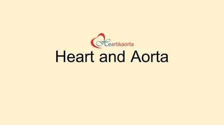 Heart and Aorta: Aortic Surgery In Kerala