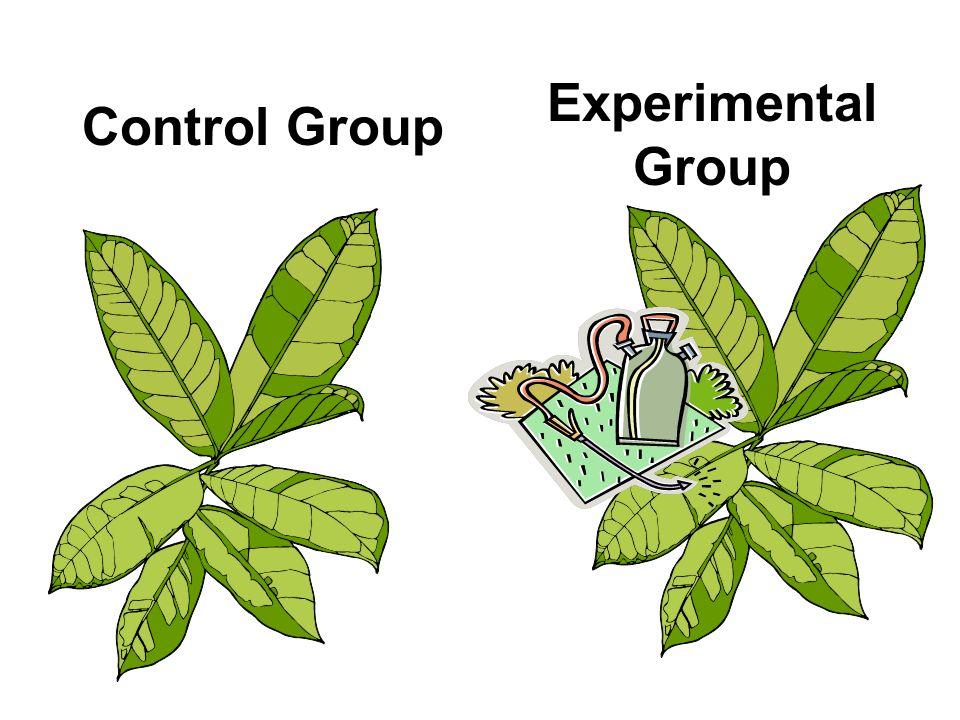 Control Group Science 31