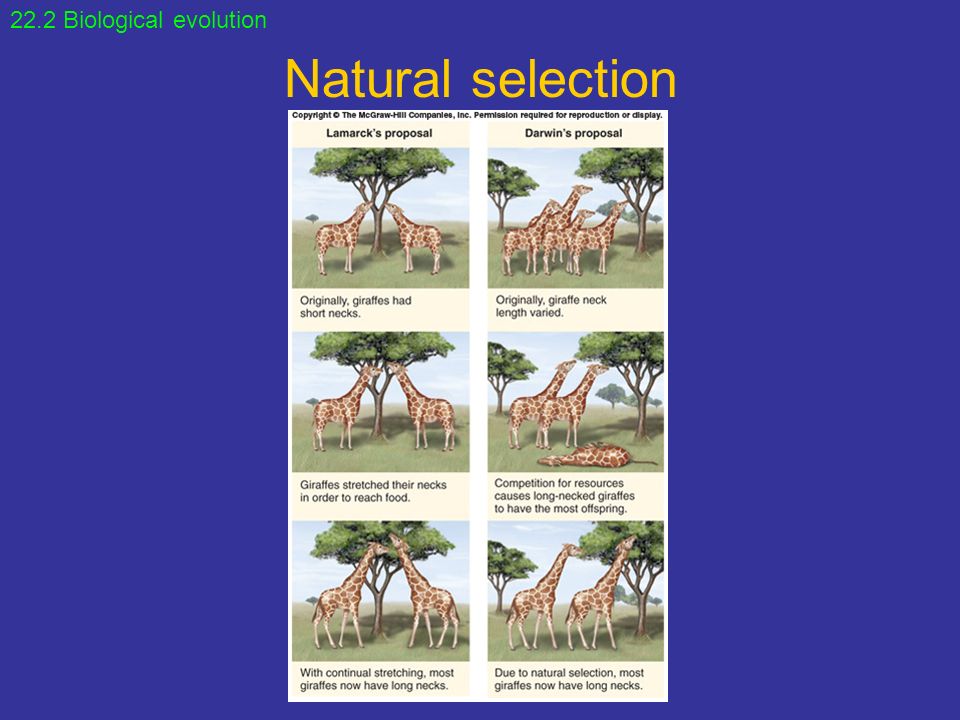 download communicating sequential processes the first 25 years symposium on the occasion of 25 years of csp london uk july 7