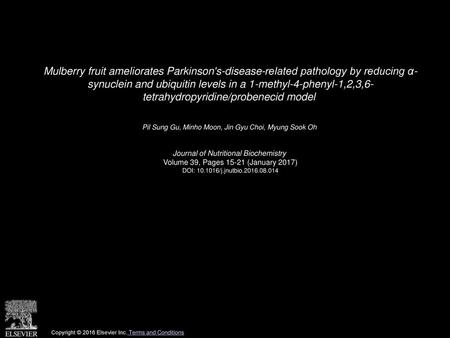 Mulberry fruit ameliorates Parkinson's-disease-related pathology by reducing α- synuclein and ubiquitin levels in a 1-methyl-4-phenyl-1,2,3,6- tetrahydropyridine/probenecid.