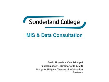 MIS & Data Consultation