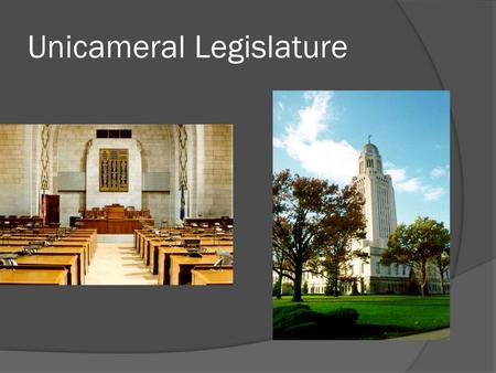 Unicameral Legislature