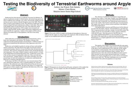 Testing the Biodiversity of Terrestrial Earthworms around Argyle