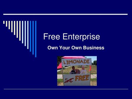 Free Enterprise Own Your Own Business