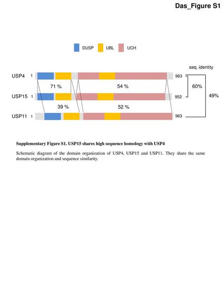 Das_Figure S1 USP15 USP4 USP11 49% 60% 39 % 71 % 52 % 54 %