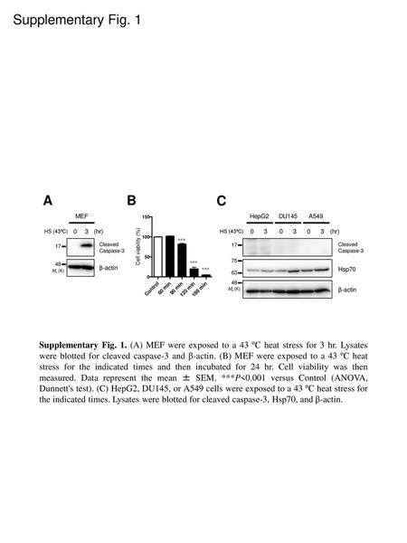 Supplementary Fig. 1 *** Cell viability (%) HepG2 3 (hr) DU145 A549 17