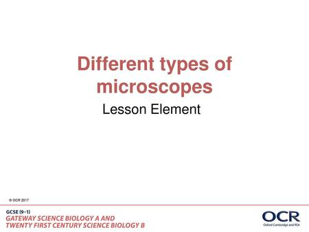 Different types of microscopes
