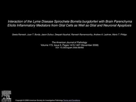 Interaction of the Lyme Disease Spirochete Borrelia burgdorferi with Brain Parenchyma Elicits Inflammatory Mediators from Glial Cells as Well as Glial.