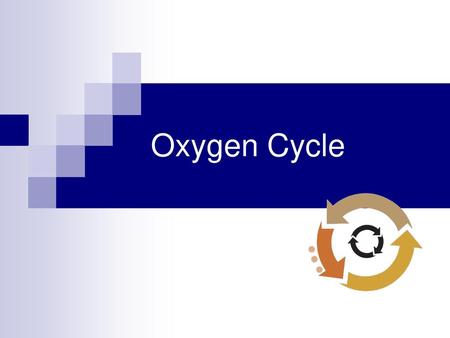 Oxygen Cycle.