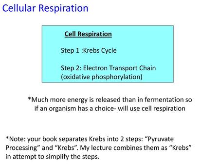 Cellular Respiration Cell Respiration Step 1 :Krebs Cycle