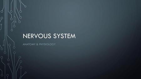 NERVOUS SYSTEM ANATOMY & physiology.