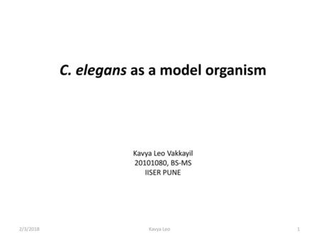 C. elegans as a model organism