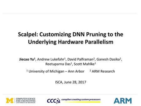 Scalpel: Customizing DNN Pruning to the