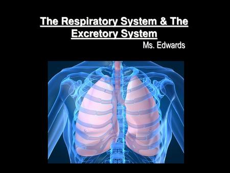 The Respiratory System & The Excretory System