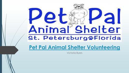 Pet Pal Animal Shelter Volunteering