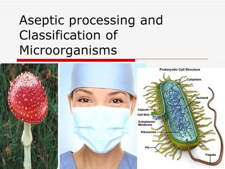 Aseptic processing and Classification of Microorganisms