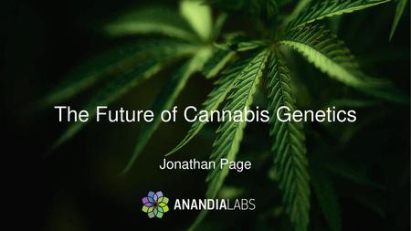 The Future of Cannabis Genetics