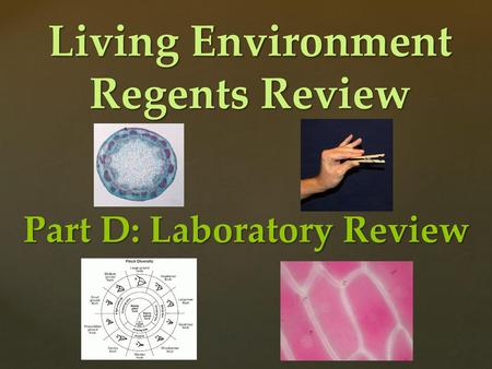 Living Environment Regents Review