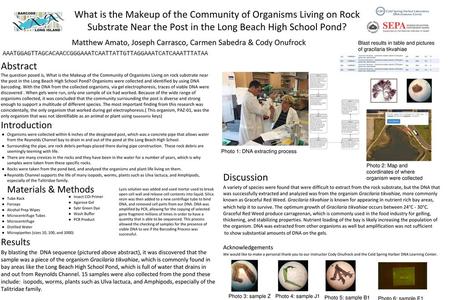 What is the Makeup of the Community of Organisms Living on Rock Substrate Near the Post in the Long Beach High School Pond? Matthew Amato, Joseph Carrasco,