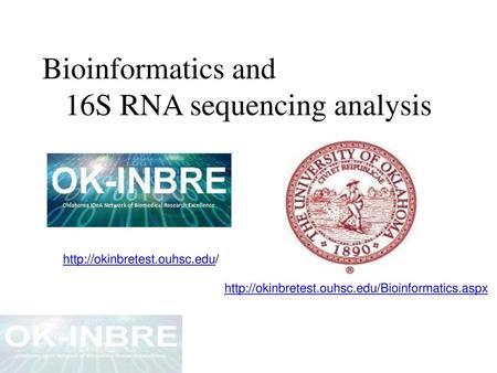 16S RNA sequencing analysis