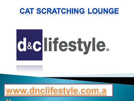 Cat Scratching Lounge - dnclifestyle.com.au
