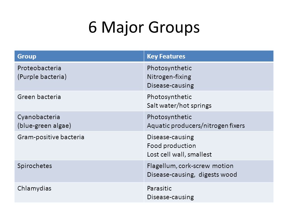 download mathematical methods for protein structure