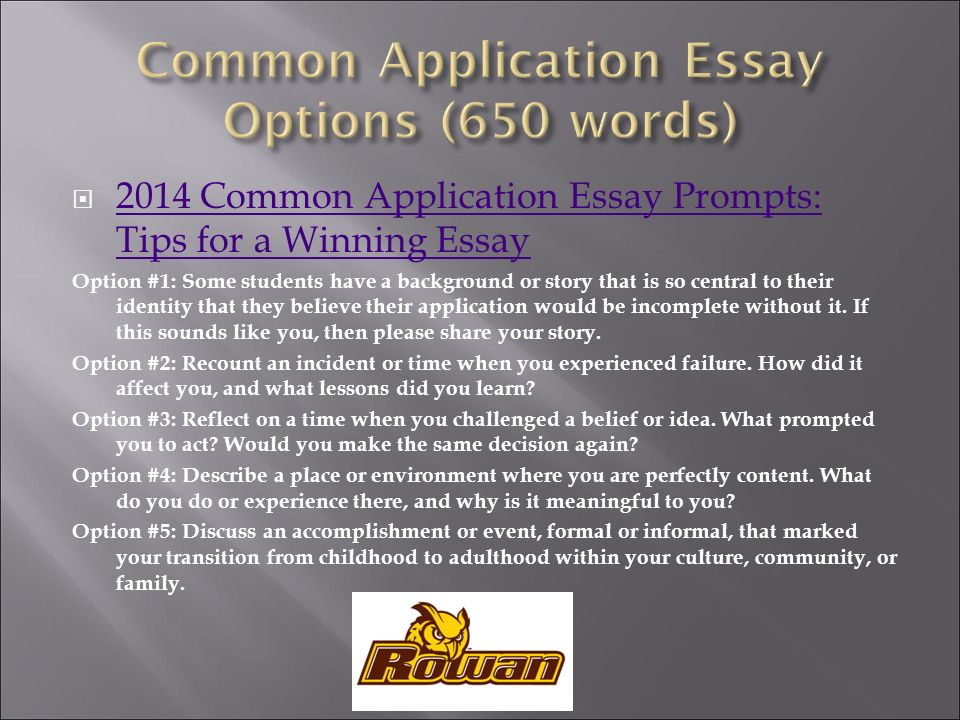 common application essay length