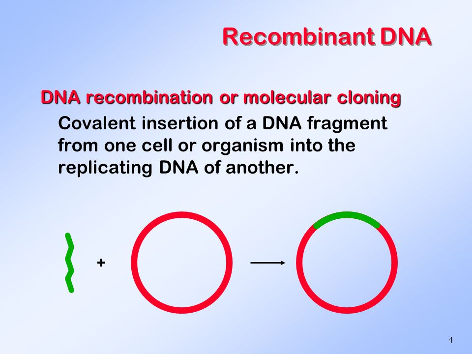 buy drug resistance in cancer cells 2009